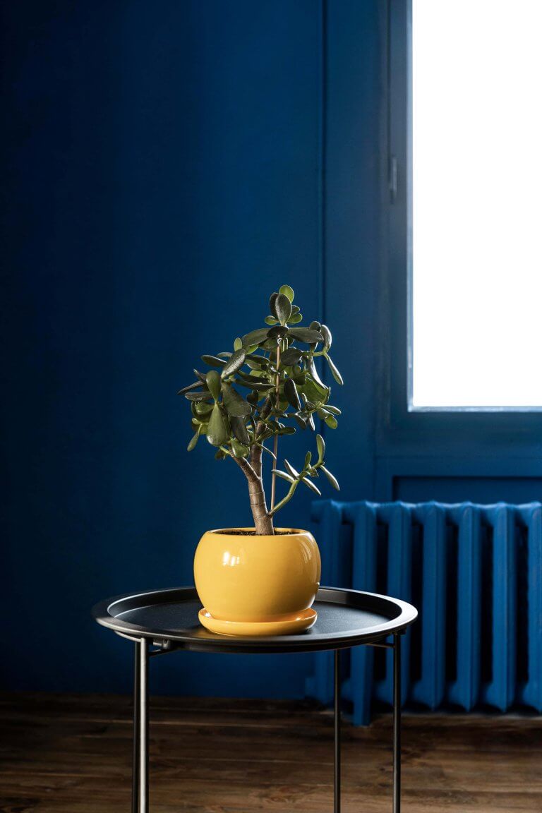 Les couleurs tendances en 2025 - Bleus profonds